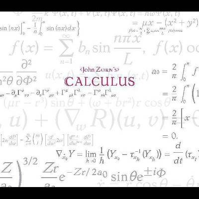 Zorn John - Calculus (CD)