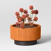 Arches Indoor Outdoor Planter Pot Terracotta Orange - Threshold™ - image 3 of 4