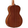 Alvarez Delta DeLite Small-Bodied Acoustic-Electric Guitar Natural - 2 of 4
