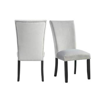 Set of 2 Celine Velvet Side Chair Set - Picket House Furnishings