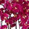 Dahlia Studios Potted Faux Artificial Flowers Realistic Purple Fuchsia Orchid in White Ceramic Pot for Home Decoration 29" High - 3 of 4