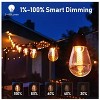 BlueAcorn Bluetooth LED Edison Indoor/Outdoor String Lights for patio, 48ft - 3 of 4