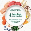 Nutro Ultra Superfood Plate Chicken, Lamb & Salmon Adult Dry Dog Food - 3 of 4