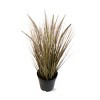 tagltd Cattail Grass - 2 of 3