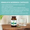Himalaya Moringa, 60 Capsules,1000 mg, 1 Month Supply, Non-GMO Project Verified, Vegan, Gluten Free Supplement, Additive Free - 3 of 4