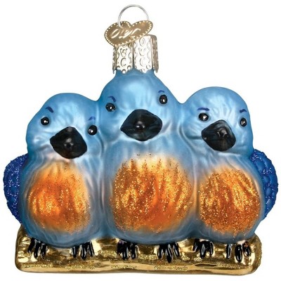 Old World Christmas 16060 Glass Blown Feathered Friends Ornament