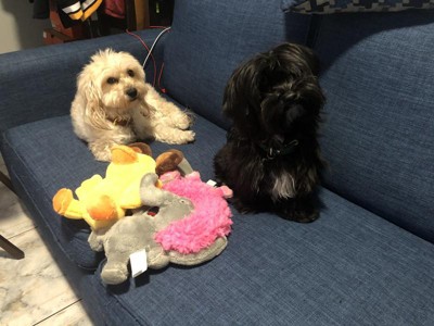 Guest review image 1 of 1, zoom in