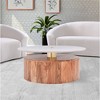 Meridian Furniture,Stonewood Natural Acacia Wood Coffee Table - 2 of 4