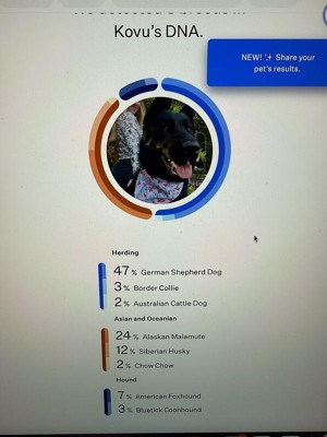 Guest review image 1 of 1, zoom in