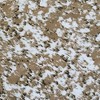 Slickblue Love Wall Peel and Stick Wallpaper Roll, 17.7"x394", Removable, Waterproof Vinyl, Easy to Apply - 3 of 3