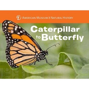 Caterpillar to Butterfly - (Science for Toddlers) by  American Museum of Natural History & Melissa Stewart (Board Book) - 1 of 1