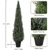 Coucheta Artificial Topiary Trees - Faux Cedar & Cypress in 3-5FT Sizes with UV-Resistant & Pot Options for Indoor/Outdoor Home & Garden Decor - 3 of 4