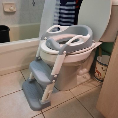 Potty seat with ladder hot sale target