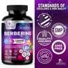 Premium Berberine HCL 1200mg Supplement - Berberine HCI Capsules High Absorption Supplement for Heart Health & Immune Support - 60 Capsules - 3 of 4