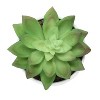 KTMBDW Set of 3 Succulents Plants Artificial in Pots Small Fake Plants for Bedroom Aesthetic Living Room Office Shelf Bathroom Decor - 3 of 4