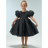2Bunnies Girls' Organza Puff Sleeve Babydoll Fit & Flare Dress - 2 of 4