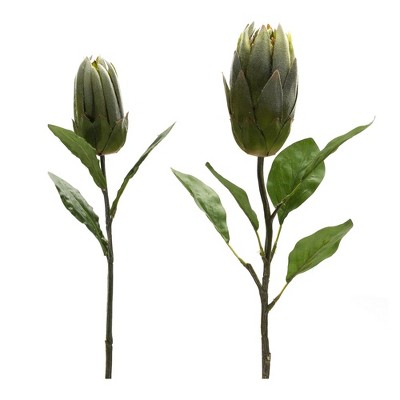 Melrose Protea Leaf Stem (Set of 6)