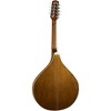 Trinity College TM-325 Standard Celtic Octave Mandolin Natural - 2 of 4
