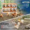 Chicken Nesting Boxes Galvanized Steel Rustproof Egg Laying Box with Egg Collection Systems, Hen Eggs Laying Box, for Chicken House/Duck House/Hen - 3 of 4