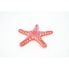 Collectible Wildlife Gifts | Starfish, Marble, Sea Star, Echinoderms, Asteroidea, Ocean, Sea Life, Plastic,  Toy, Gift,  2 1/4"   F928 B158 - 4 of 4