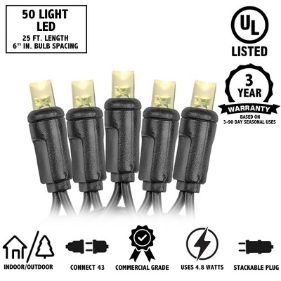 25-Foot Blue LED Christmas Tree Lights with Black Wire