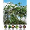 Garden Arch Trellis for Climbing Plants Metal Outdoor Arbor with Rust-Resistant Coating - Perfect for Weddings, Patio, Lawn Decor & Vine Support - 4 of 4