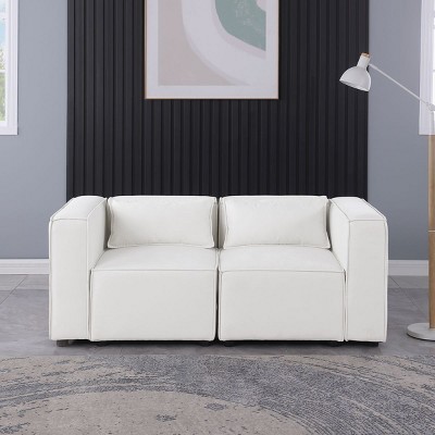 Modular Couch,2 Seat Sofa,Loveseat Sofa,Modular Lounge Sofa,Modular Cloud Couch,Sofa Modular Sectional,Knock Down Sofa Couch-Cuddlewood