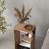 Damerin 25 in. H 3-Tier Shelf Side Table End Table - 2 of 4