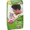 Purina Cat Chow Indoor Healthy Weight & Hairball Control Chicken Flavor Dry Cat Food - image 4 of 4