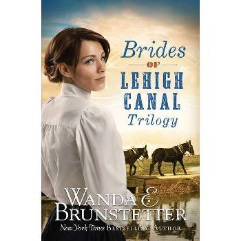 Brides of Lehigh Canal Trilogy - by  Wanda E Brunstetter (Paperback)