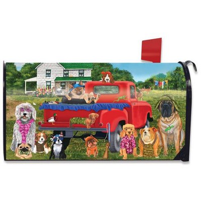 Country Pups Summer Magnetic Mailbox Cover Humor Standard Briarwood Lane