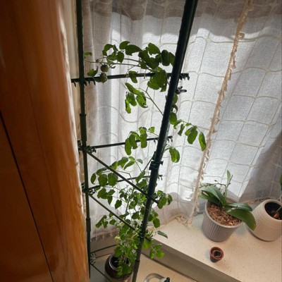 Guest review image 1 of 3, zoom in