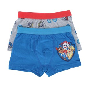 Textiel Trade Boy's Paw Patrol Boxer Briefs (2 Pack) - 1 of 4