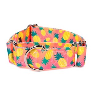 Country Brook Petz HossFit Jr Wide Martingale Dog Collar, Tasty Collection - 1 of 4