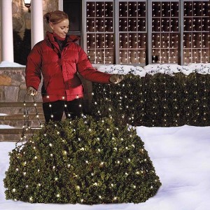 Celebrations Incandescent Mini Clear 150 ct Net Christmas Lights 6 ft. - 1 of 1