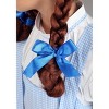 HalloweenCostumes.com One Size Fits Most Girl Deluxe Kids Kansas Girl Costume Wig, Blue/Brown - 3 of 4