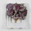 Nearly Natural Wax Begonia Bush (Set of 6) - 2 of 2
