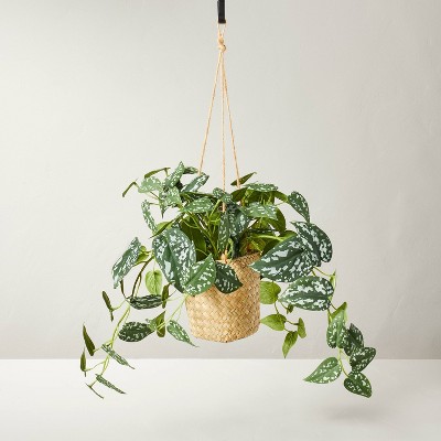 Artificial Plants & Greenery for Home Decor: Target