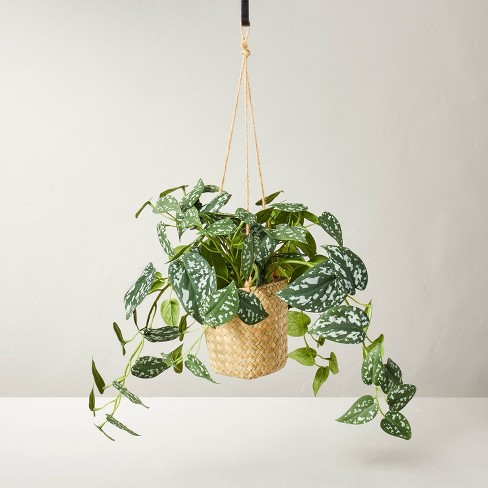 Faux Variegated Pothos Hanging Plant - Hearth & Hand™ With Magnolia : Target