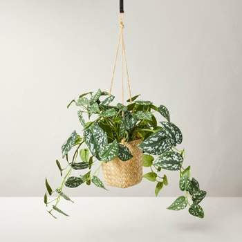 12" Faux Variegated Pothos Hanging Plant - Hearth & Hand™ with Magnolia
