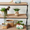 NAYSAYE Planter Set of 2 Rectangular Basket Planter with Geometric Trim for Indoor Outdoor Garden, Brown, 16"*12"*12" - 4 of 4