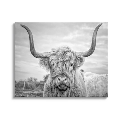 Stupell Industries Black and White Highland Cow Photograph