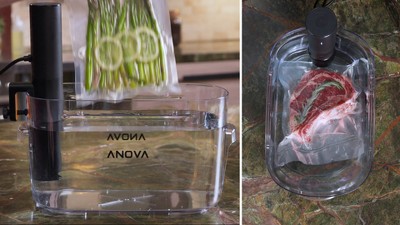 Anova Precision Mini Black Sous Vide Cooker with App Control