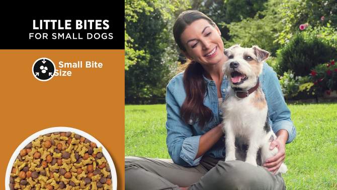 Dog Chow Little Bites Dry Dog Food with Chicken &#38; Beef Flavor - 15lbs, 2 of 8, play video