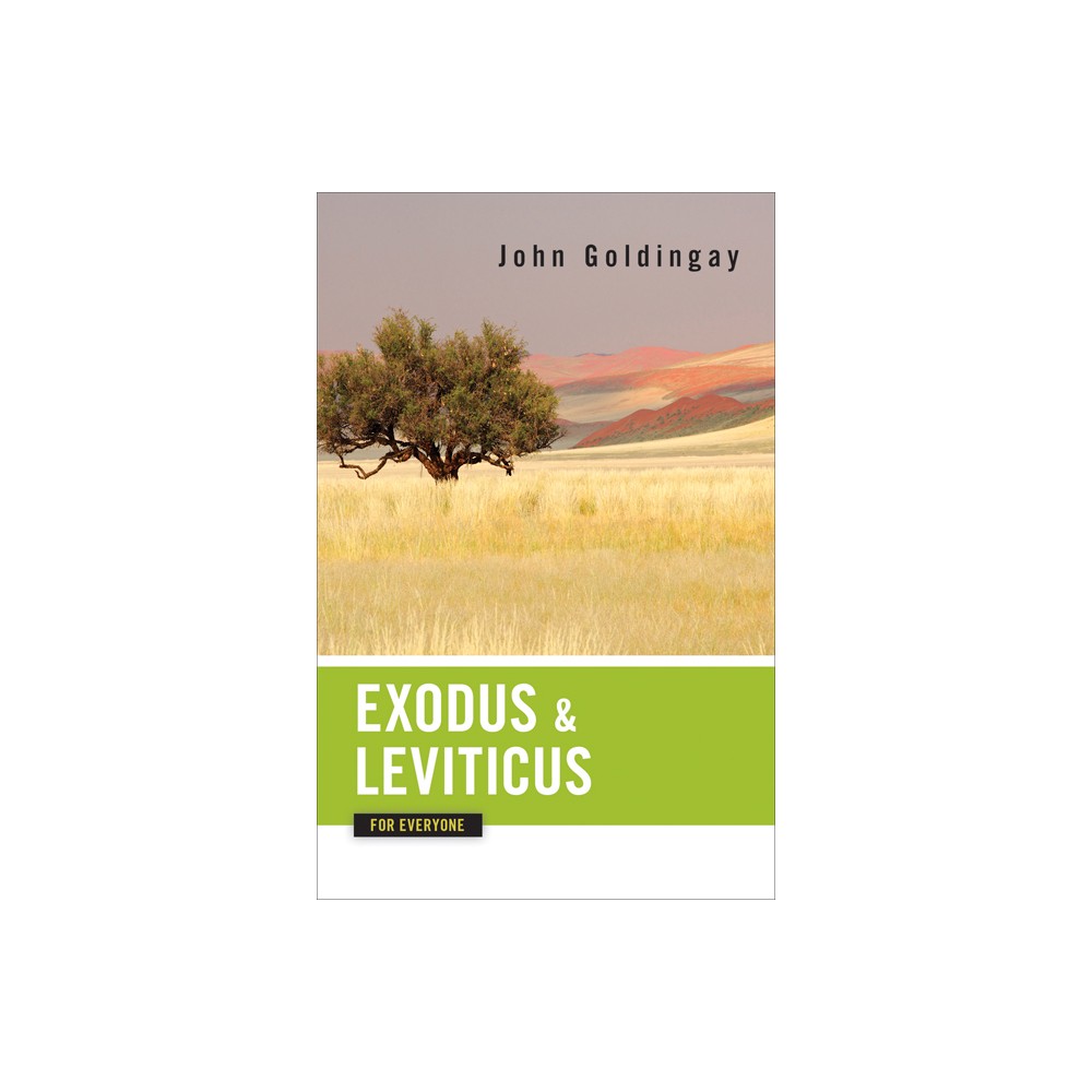 Exodus and Leviticus for Everyone - (Old Testament for Everyone) by John Goldingay (Paperback)