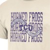 NCAA TCU Horned Frogs Men's Comfort Wash T-Shirt - 3 of 3