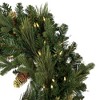 Vickerman Emerald Mixed Fir Artificial Wreath - 3 of 4