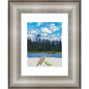 Amanti Art Imperial Silver Picture Frame - 1 of 4