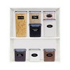 Apex Vanguards 25-Piece Food Plastic Storage Containers - 2 of 3