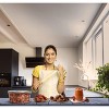 Pitted Dates (Deglet Nour) Raw Dried Fruit - 24oz (1.5lbs) 680g - Rani Brand Authentic Indian Products - 2 of 4
